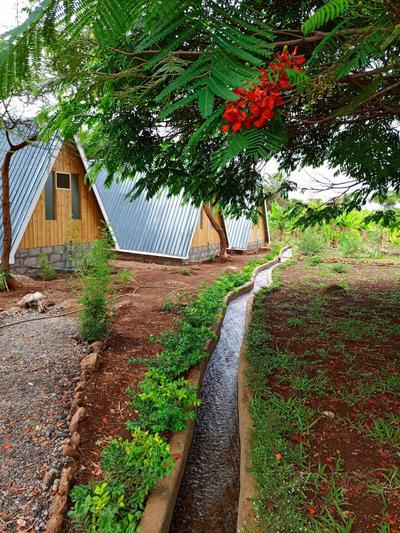 Riverine Cabins