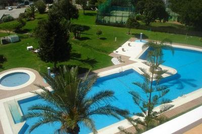 La Colina Navidades 2024