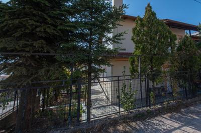 Olga's guest house