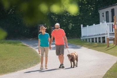 Cosy lodge in New Forest