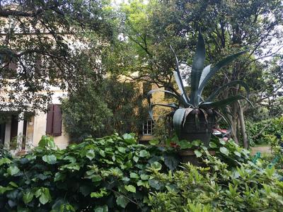 Pintino Garden