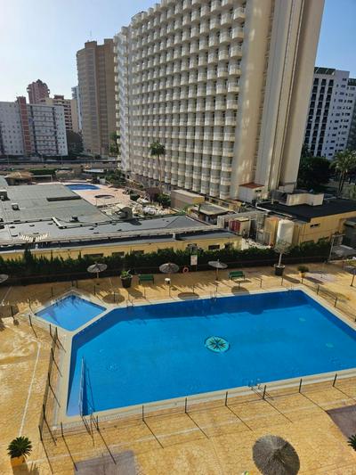 Benidorm Playa Levante Enrique Studio