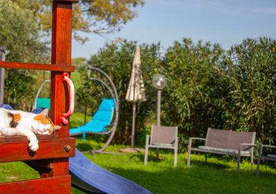Divino Amore house of relax