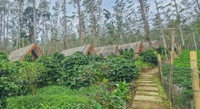 Cigadog Residence RedPartner