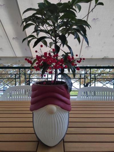 The cozy seaside apartment