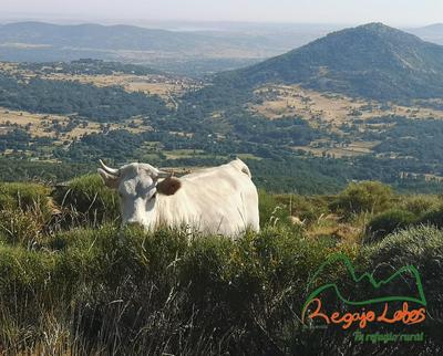 Casa rural Regajo Lobos