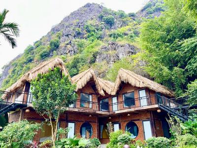 Tam Coc Golden Fields