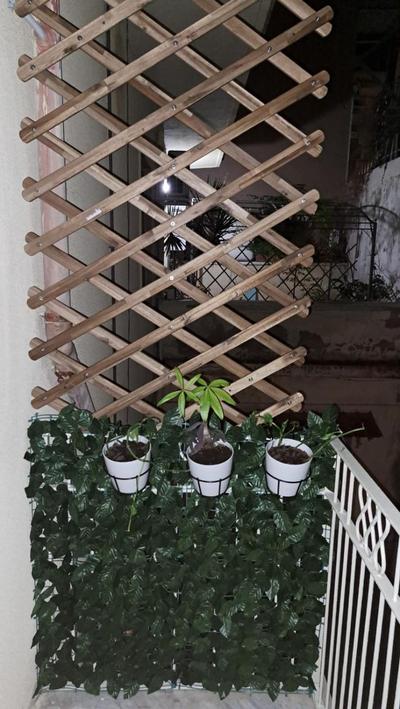 La casa di Titty