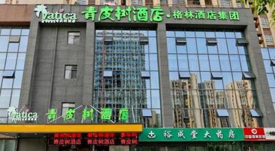 Vatica Hotel Hefei Yaohai Longgang Subway Station