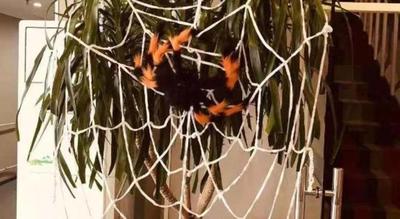 ibis Wuxi Jiangnan University