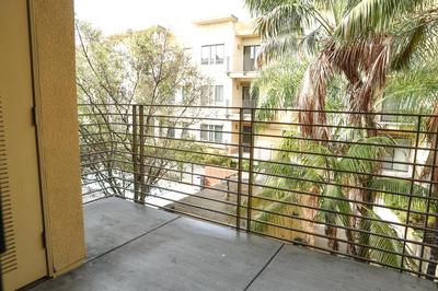 Amazing Apartments near the grove
