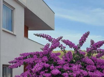 Apartmani Lucija