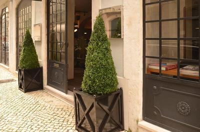 Browns Downtown Hotel