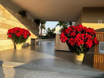 Casa Begonias Hotel mas Villas