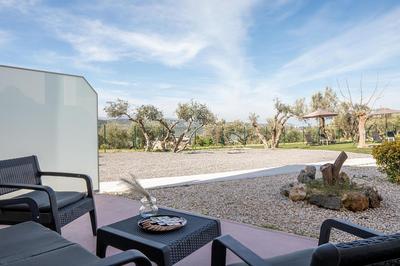 Olive Grove Maisonettes and Apts