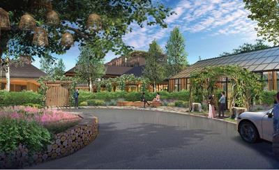 Treehouse Hotel Silicon Valley