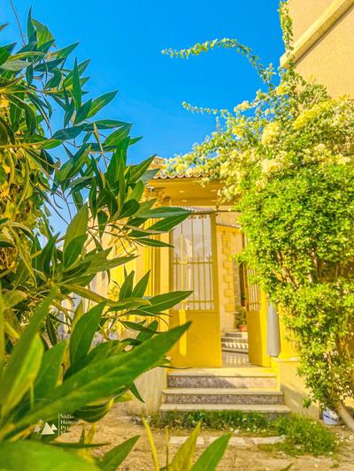 Sidi Hamad Pyramids View