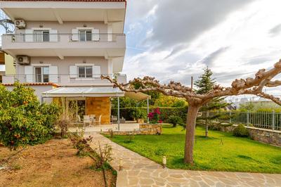 Eretria Shared Rooms