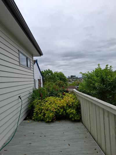 2 Bedroom Tiny house with Privacy photo 5