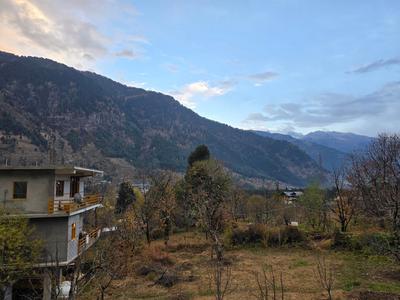 The Venus, Live like a local