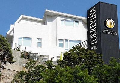 Hotel TorreViña