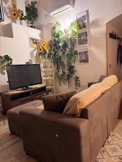 Arechi home bis