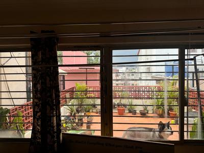 The three story Escape Villa Lalbagh , Jayanagar