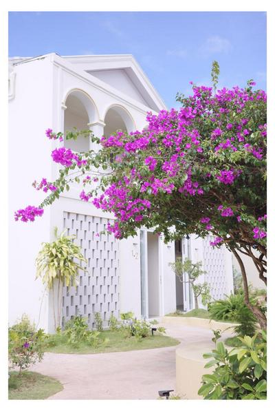 Le Macaron Garden Stay - City Boutique Hotel Da Lat