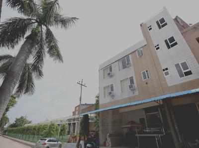 Collection O Gold Star