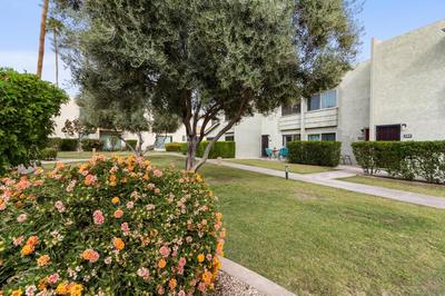 Camelback 242- Condo with Amenities, Close to Old Town, Shopping & Dining!
