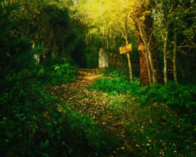 Ctro de Naturaleza Cañada Verde "Descubre la Magia de El Bosque Encantado de Córdoba"