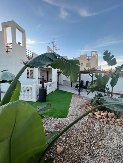 Villa Blue dream