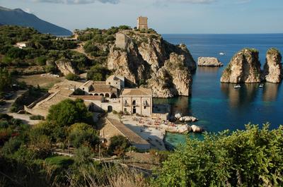 Palma Dello Zingaro