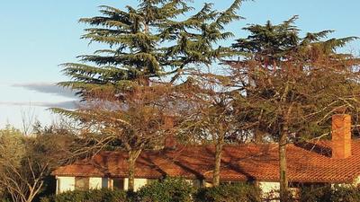 La Fattoria Barbini B&B