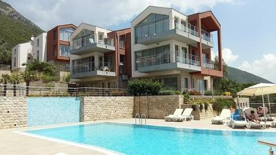 Acacia Hill olive tree apartment