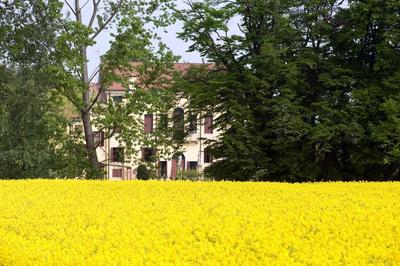 Agriturismo Villa Selvatico