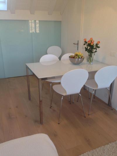 Carouge Loft Apartment