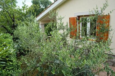Apartments Beni