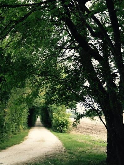 Domaine Le Rolant