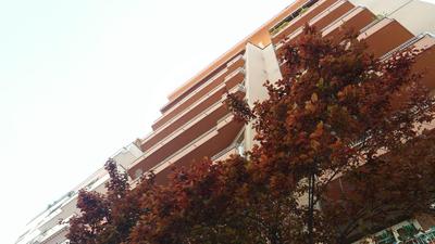 B&B La Perla di Roma