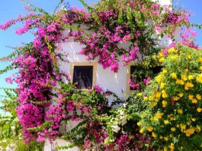 Casa Portuguesa