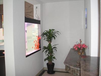 GreenTree Inn Zhejiang Ningbo Passenger Transport Center Tongda Road Shell Hotel