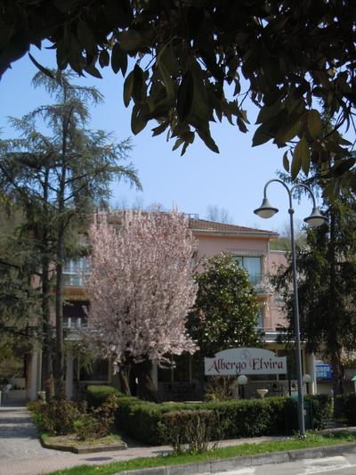 Albergo Elvira