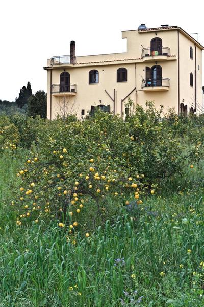 Agriturismo Rajata