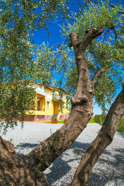 Appartamenti Villa il Poggiolo