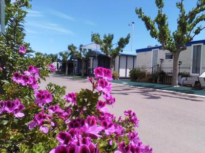 Camping y Bungalows Monmar