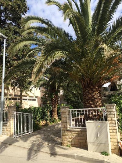 Apartments Duje