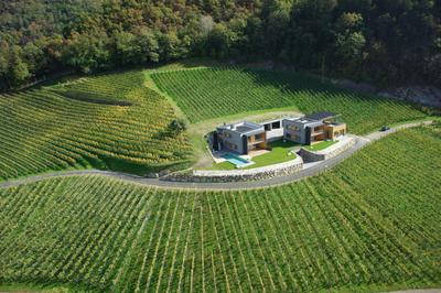 Romantik Chalet im Weingut Eichenstein