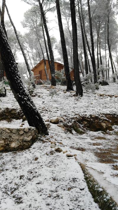 Cabañas El Robledo