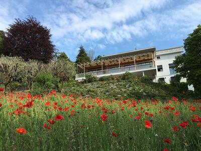 Bed and Breakfast Admiramini